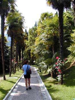 Der Botanische Garten von Arco, Wintersitz der Knige.