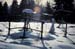 Auch der Garten im Winter hat seinen Reiz.